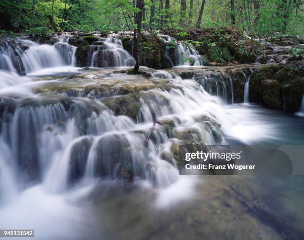 waterfall, cascade, plitvice lakes national park, jezera, lika-senj county, croatia - kommunen lika senj bildbanksfoton och bilder