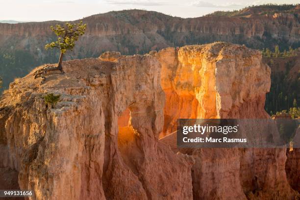 Bryce Building 386 Bryce Building Stock Photos, High-Res Pictures, and Images - Getty ...