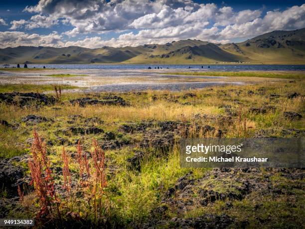 white lake, khorgo terkhiin tsagaan nuur national park, mongolia - kraushaar - fotografias e filmes do acervo