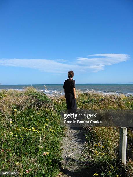 beach path - kapiti coast stock pictures, royalty-free photos & images