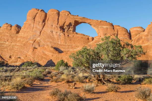 skyline arch, natural arch rock formation, arches national park, utah, usa - skyline arch stock-fotos und bilder