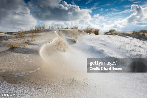 Frise Orientale Photos et images de collection Getty Images