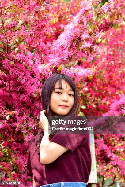 ung japansk tjej poserar med kinesiska fringe blomma i bakgrunden - stenbräckeordningen bildbanksfoton och bilder