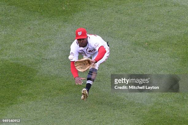 Michael A. Taylor of the Washington Nationals dives to catch a ball during a baseball game against the Colorado Rockies at Nationals Park on April...