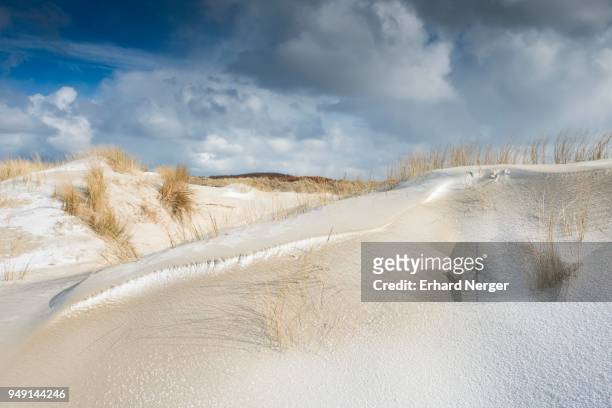 dunes with beach grass and snow, north sea, langeoog, east frisia, lower saxony, germany - langeoog stock pictures, royalty-free photos & images