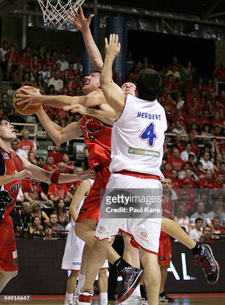Martin Cattalini of the Wildcats drives to the basket during the round 13 NBL match between the Perth Wildcats and the Adelaide 36ers at Challenge...