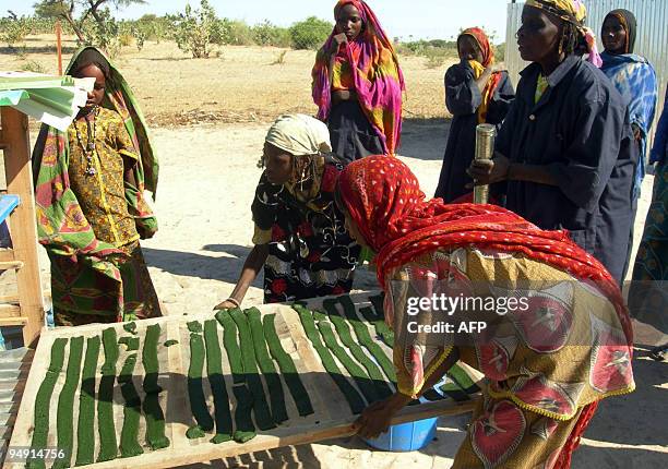 Young Chadian girl Fatimeh with another girl hold a tray of spirulina, a green seaweed , a dietary supplement, to dry it up in Brandji, on Lake Chad...