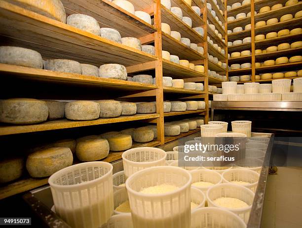 seasoning of the flour pecorino cheese - dairy factory stock pictures, royalty-free photos & images