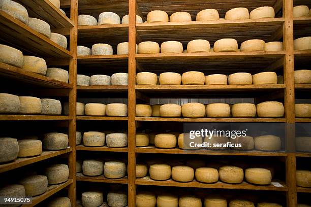 stored pecorino by farindola - cheese wheels shelves stock pictures, royalty-free photos & images