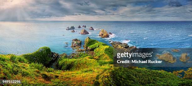 overgrown headland, nugget point, sunlit rocks protruding from tasman sea, kaka point, the catlins, south island, new zealand - nugget point stock pictures, royalty-free photos & images