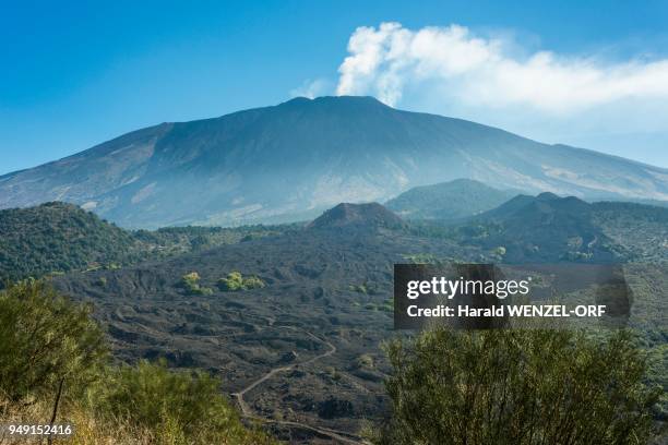 view from monte ruvolo of mount etna western flank, with mount nuovo and mount lepre, volcanoes, lava field from 1763, piano dei grilli, bronte, sicily, italy - nuovo stock-fotos und bilder