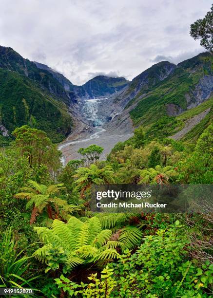 fox glacier and fox river, tropical vegetation, westland district, west coast, south island, new zealand - south westland bildbanksfoton och bilder