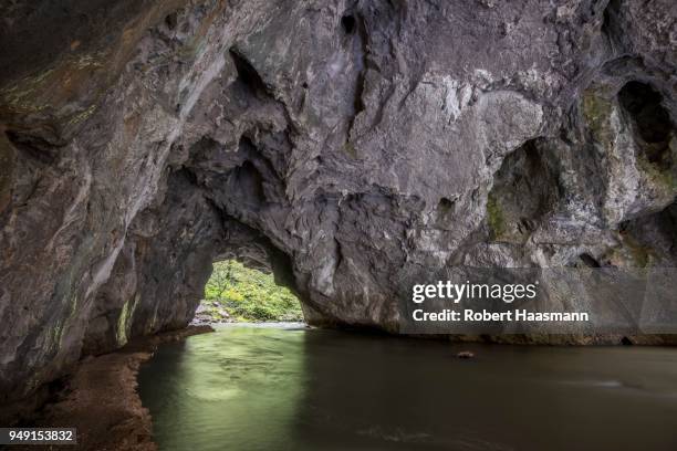 rock bridge in zelske jama cave, river rak, rakov skocjan, littoral?inner carniola statistical region, slovenia - ausnehmen stock-fotos und bilder