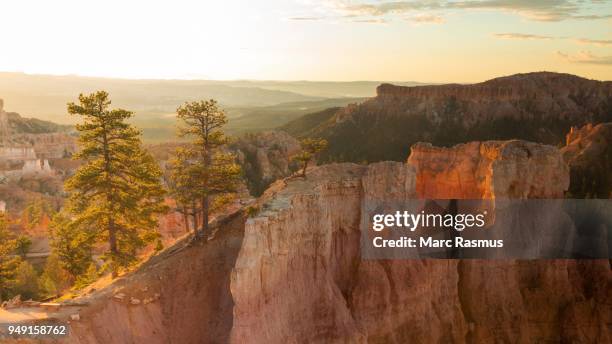 Bryce Building 386 Bryce Building Stock Photos, High-Res Pictures, and Images - Getty ...