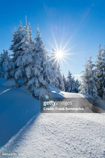 Thuringia Winter 141 Thuringian Highland Stock Photos, High-Res Pictures, and Images ...