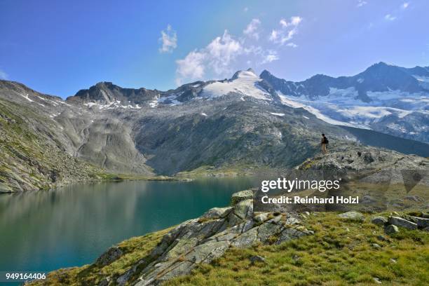 climber on the lower wildgerlossee, behind reichenspitz group, wildgerlostal, high tauern national park, salzburg, austria - alpes de zillertal fotografías e imágenes de stock