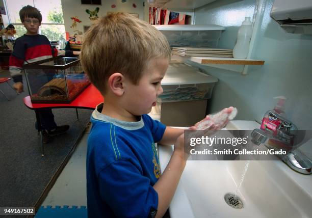 Young boy washing his hands after handling a box turtle, a potential carrier of a Salmonella virus, 2005. Image courtesy Centers for Disease Control...