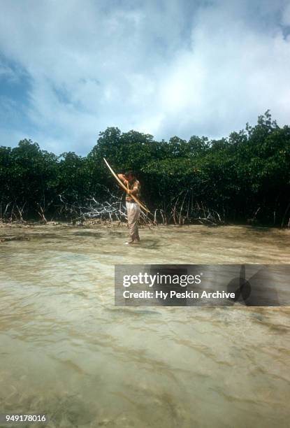 Colyn Rees gets ready to shoot a fish with his bow and arrow while bone fishing on April 7, 1956 in the Bahamas.