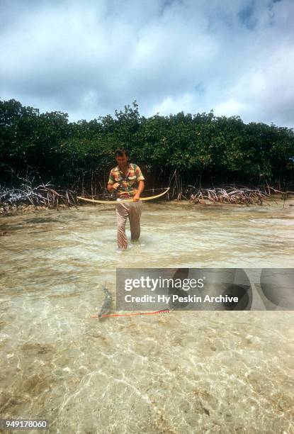 Colyn Rees walks to retrieve the fish he shot with his bow and arrow while bone fishing on April 7, 1956 in the Bahamas.