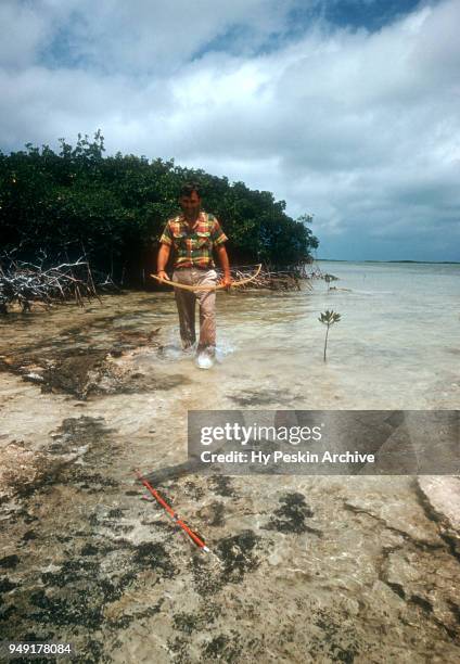 Colyn Rees walks to retrieve the fish he shot with his bow and arrow while bone fishing on April 7, 1956 in the Bahamas.