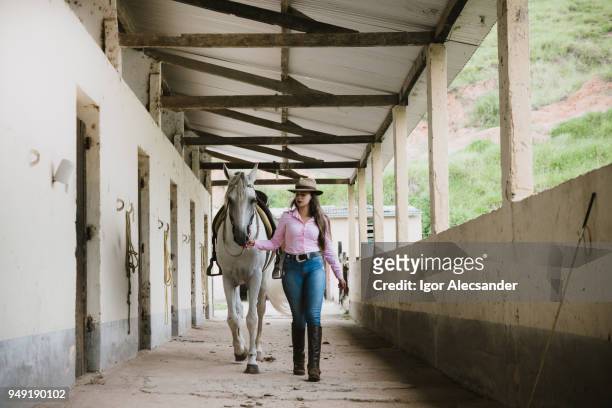 cowgirl und die kruppe pferd im stall - manga larga stock-fotos und bilder