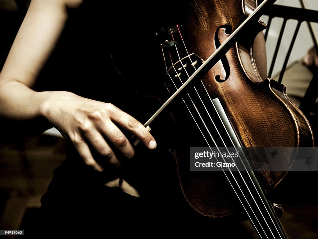 バイオリンのミュージシャン