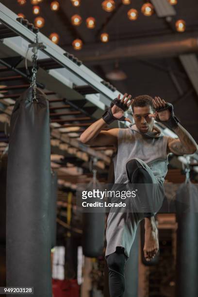 junge hübsche mischlinge boxer fighter training im fitness-studio einstellung schwer - mixed boxing stock-fotos und bilder