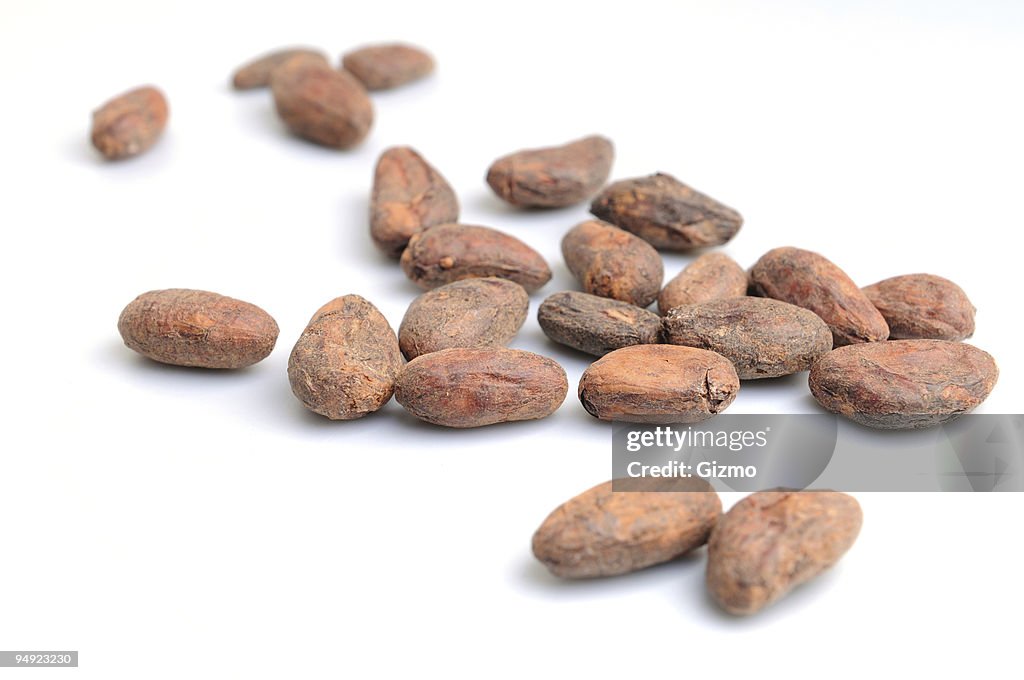 Cocoa beans on white background