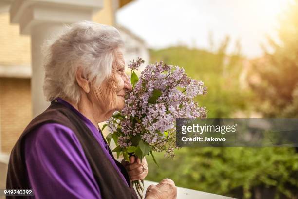 enjoying on the balcony - lilac bush stock pictures, royalty-free photos & images