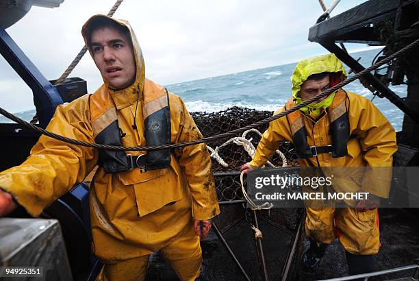 Photo prise le 03 décembre 2008 de deux marins-pêcheurs du chalutier le "Anthineas", manipulant une drague durant une journée de pêche à la coquille...