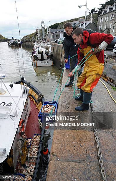 Photo prise le 03 décembre 2008 de deux marins-pêcheurs du chalutier le "Anthineas" débarquant la pêche sur un quai du port de Pleneuf-Val-André...