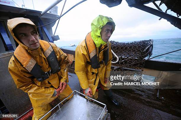 Photo prise le 03 décembre 2008 de deux marins-pêcheurs du chalutier le "Anthineas", durant une journée de pêche à la coquille Saint-Jacques dans la...