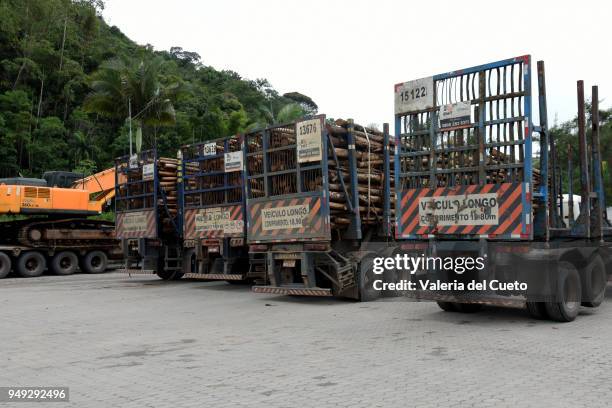 parked trucks ready to travel - valeria del cueto stock pictures, royalty-free photos & images