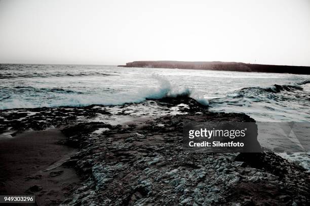 rocky promenantry on california shoreline near santa cruz - silentfoto stock-fotos und bilder
