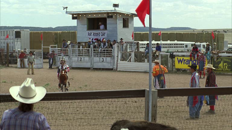 Fake Rodeo 82 Fake Horse Stock Videos, Footage, & 4K Video Clips - Getty Images
