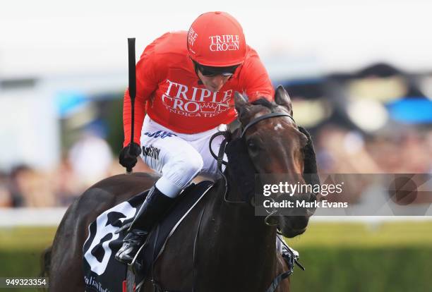 Kerrin McEvoy on Moss Trip wins race 5 during the All Aged Stakes Day as part of Sydney Racing at Royal Randwick Racecourse on April 21, 2018 in...