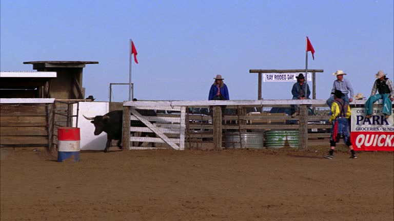Bull Rodeo Fencing 813 Fence Banners Stock Videos, Footage, & 4K Video Clips - Getty Images