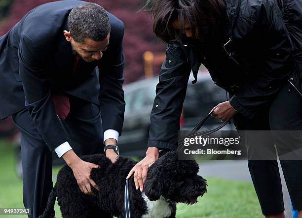 President Barack Obama and First Lady Michelle Obama pet the family's new dog, Bo, on the South Lawn of the White House in Washington, D.C., U.S., on...