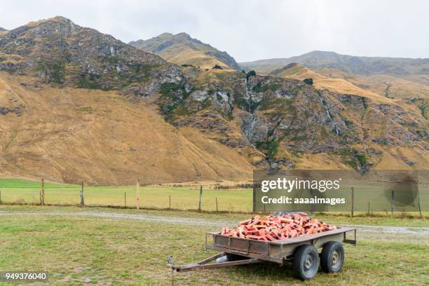 an old trailer full with wood waste at the foot of mountain - trailer trash stock pictures, royalty-free photos & images