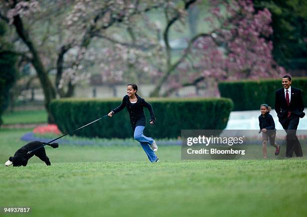 President Barack Obama and Sasha Obama, second from right, watch as Malia Obama runs with the the family's new dog, Bo, on the South Lawn of the...
