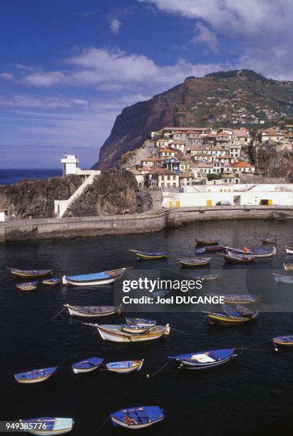 Barques de pêcheurs dans le port de Camara de Lobos, sur l'île de Madère, Portugal.