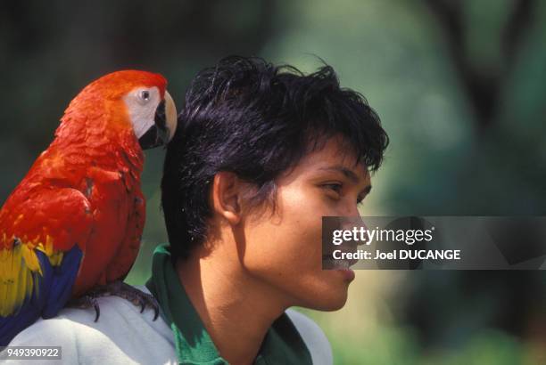 Jeune homme avec un perroquet sur l'épaule dans le Jurong Bird Park à Singapour.