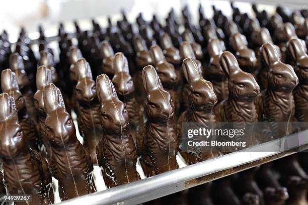 Choco Balls Factory Rabbit Chocolate Bunny Chocolate Bunny Photos and Premium High Res Pictures ...