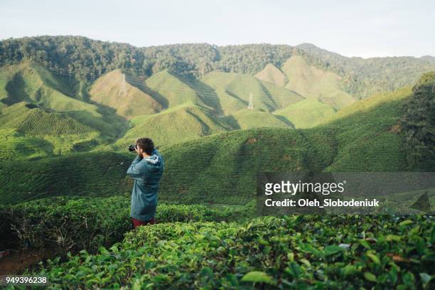 man  taking photo  at tea plantations - sri lanka and tea plantation stock pictures, royalty-free photos & images