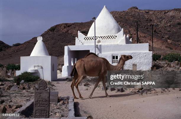 Alawi 144 Ali Al Alawi Stock Photos, High-Res Pictures, and Images - Getty Images