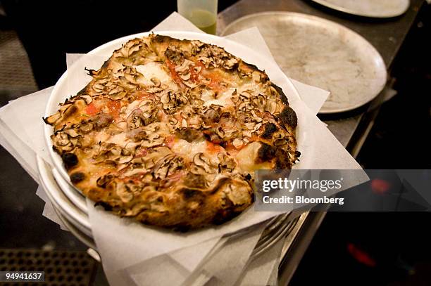 Pizza Patron Hours: Discover the Best Opening & Closing Times