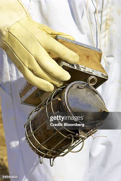 Beekeeper's smoker, which contains burlap smoke that calms bees, is applied to a hive in an almond orchard near Bakersfield in Wasco, California,...