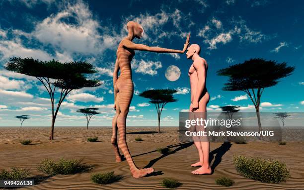 the garden of eden - adam bibelfigur stock-grafiken, -clipart, -cartoons und -symbole