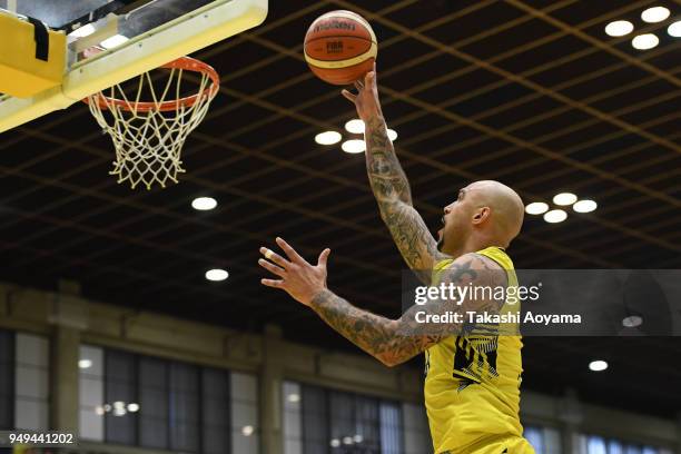 Robert Sacre of the Sunrockers Shibuya lays the ball up during the B.League game between Sunrockers Shibuya and Chiba Jets at Aoyama Gakuin...