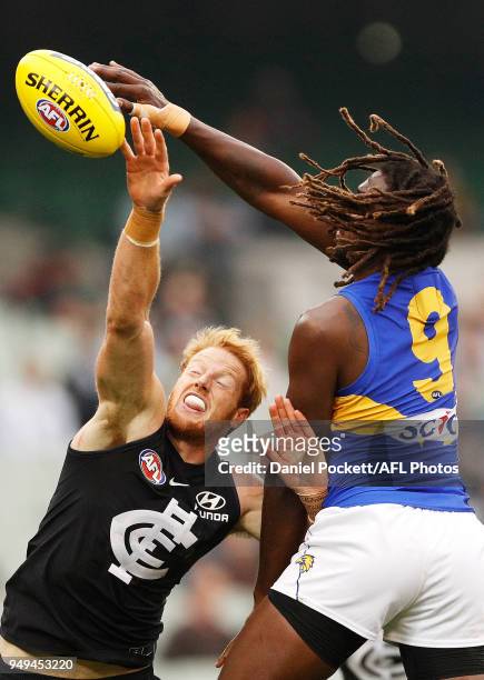 Andrew Phillips of the Blues and Nic Naitanui of the Eagles contest the ball during the round five AFL match between the Carlton Blues and the West...